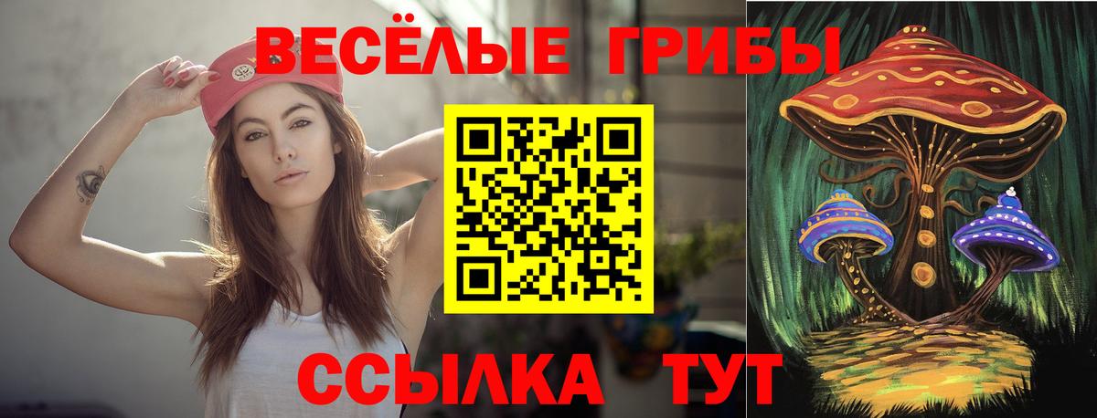 Галлюциногенные грибы GOLDEN TEACHER Ликино-Дулёво